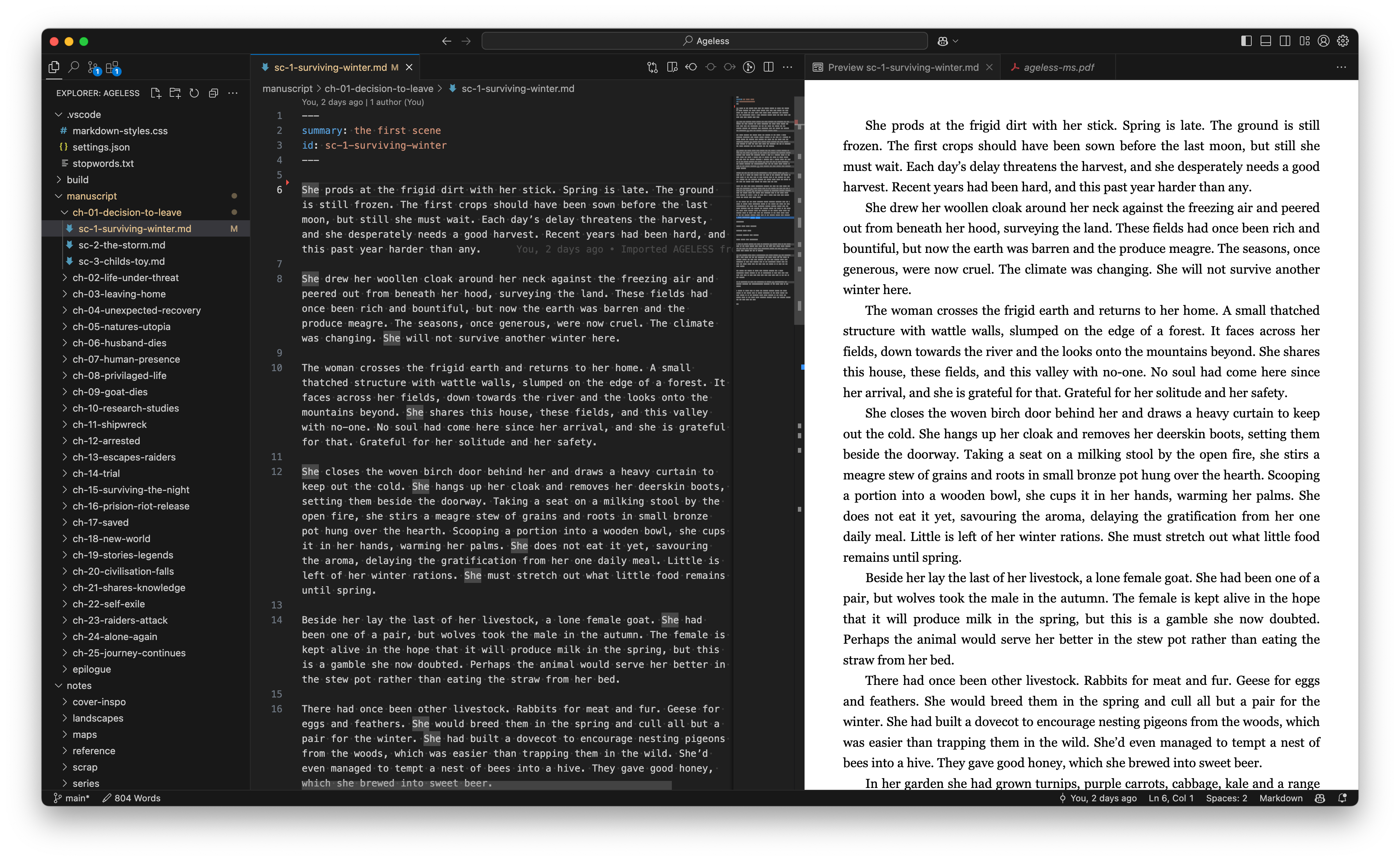 VSCode with markdown preview